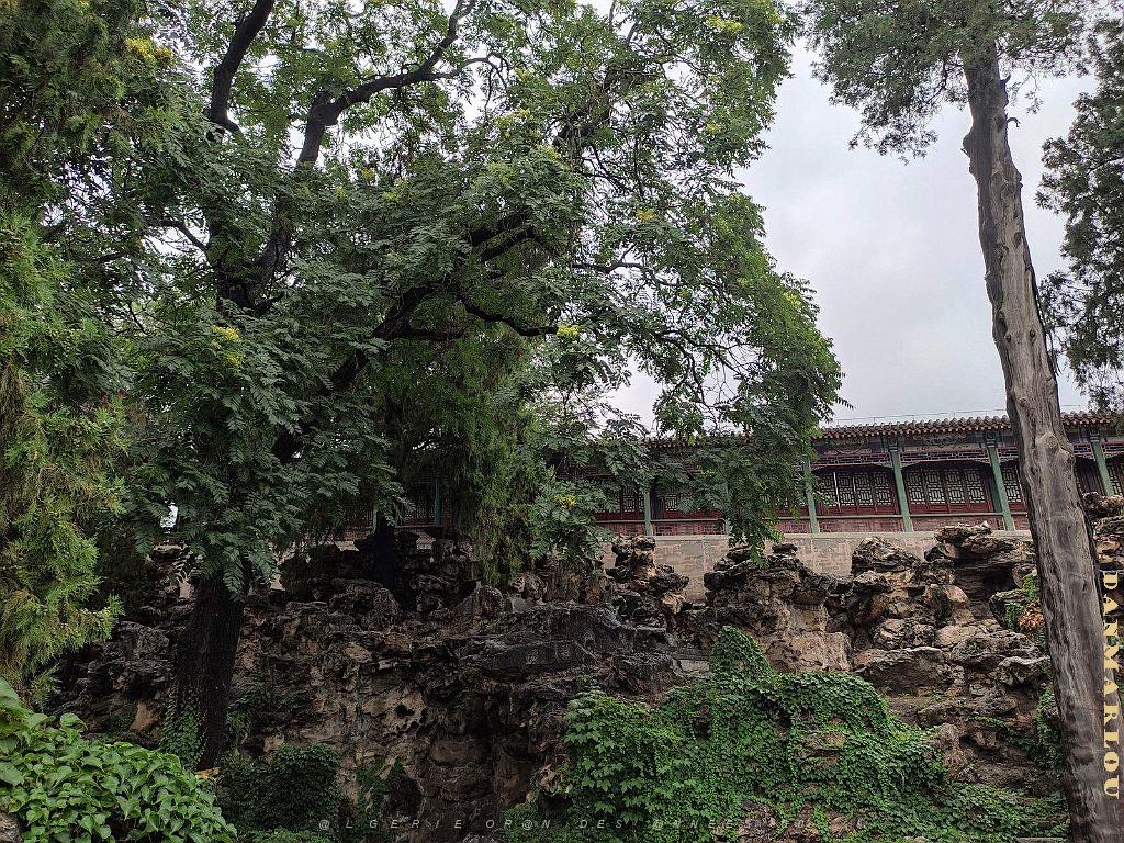 PEKIN - PARC BEIHAI (46).jpg